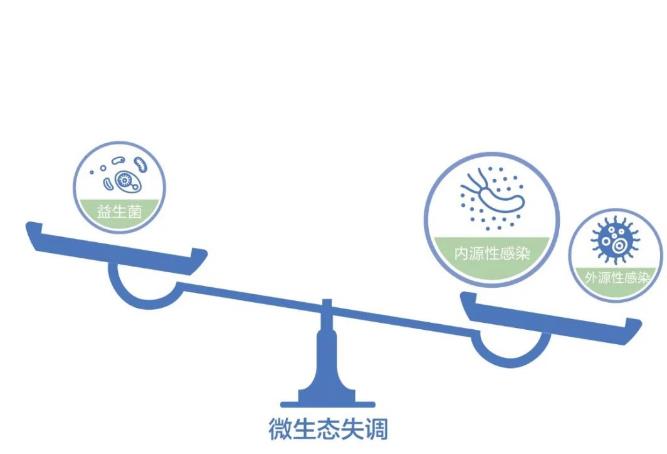 春節(jié)長(zhǎng)假“護(hù)腸”的正確方式