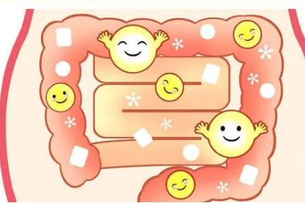 益生菌&乳鐵蛋白，完美護腸搭檔，增強免疫力，為寶寶健康保駕護航！